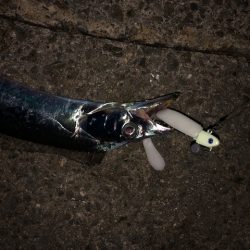 明石ワインド16