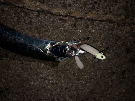 明石ワインド16