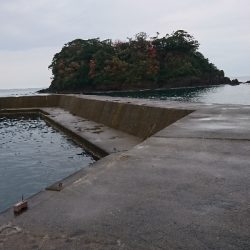 今季  最終釣行