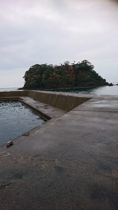 今季  最終釣行