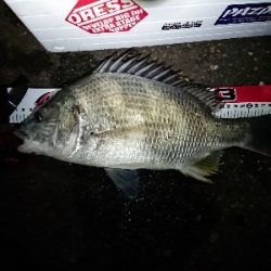 雪舞う中 釣り納め