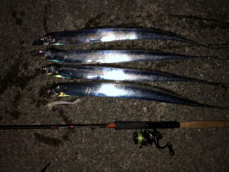 明石ワインド16