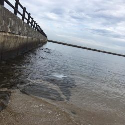 自己新記録更新！