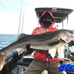 オーシャンマスター 釣果