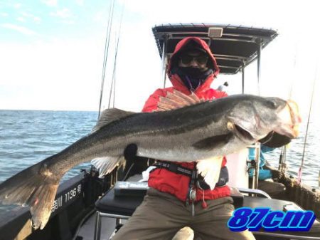 オーシャンマスター 釣果