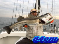 オーシャンマスター 釣果