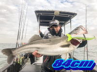 オーシャンマスター 釣果