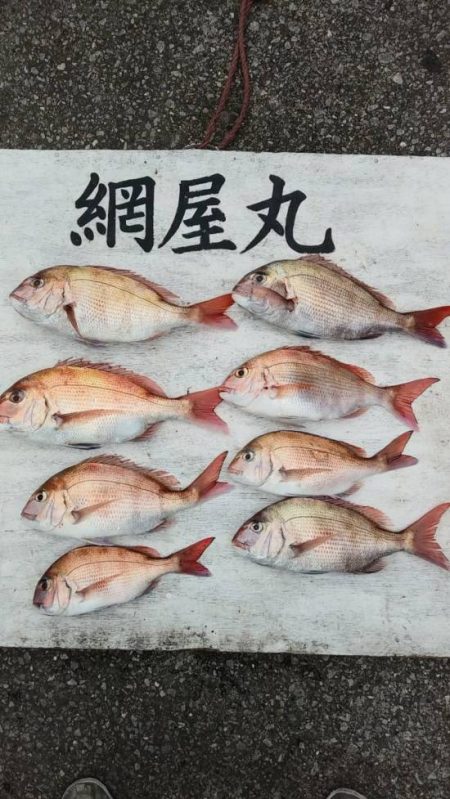 網屋丸 釣果