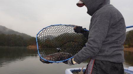 フィッシングレイクたかみや 釣果
