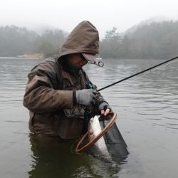 フィッシングレイクたかみや 釣果