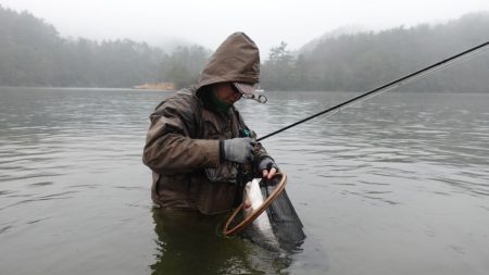 フィッシングレイクたかみや 釣果