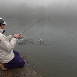 フィッシングレイクたかみや 釣果