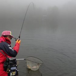 フィッシングレイクたかみや 釣果