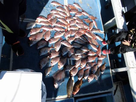 十八宝洋丸 釣果