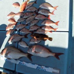 十八宝洋丸 釣果