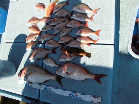 十八宝洋丸 釣果