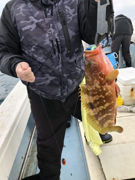 リトルワン 釣果