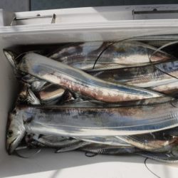 遊漁船 幸友丸 釣果