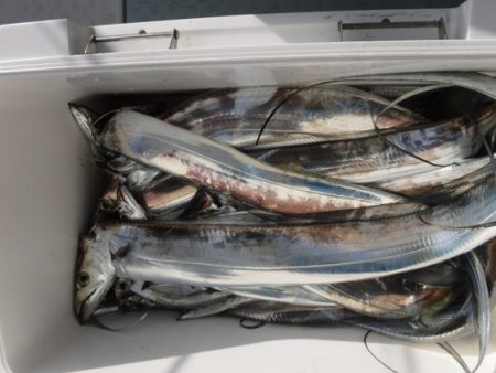 遊漁船 幸友丸 釣果