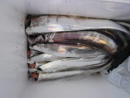 遊漁船 幸友丸 釣果