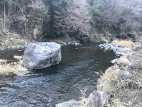 秩父フライフィールド 釣果