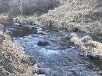 秩父フライフィールド 釣果