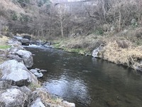 秩父フライフィールド 釣果