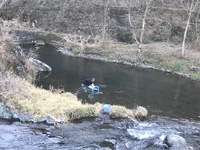 秩父フライフィールド 釣果