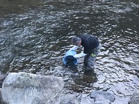 秩父フライフィールド 釣果