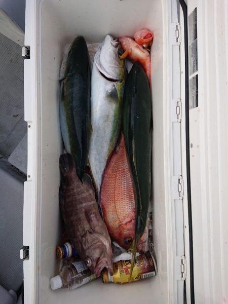 エンペラー 釣果