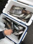 ＮＡＧＡＳＨＩＭA ＭＡＲＵ（永島丸） 釣…