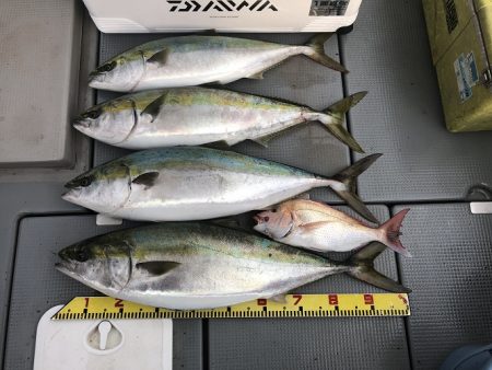 sea boss　シーボス 釣果