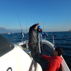 sea boss　シーボス 釣果