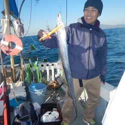 sea boss　シーボス 釣果