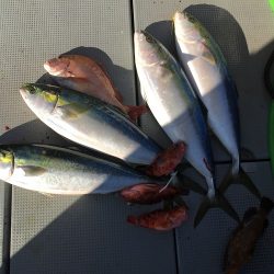 sea boss　シーボス 釣果