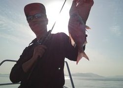 愛裕南丸 釣果
