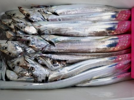 オーフリー 釣果