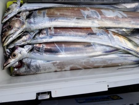 オーフリー 釣果