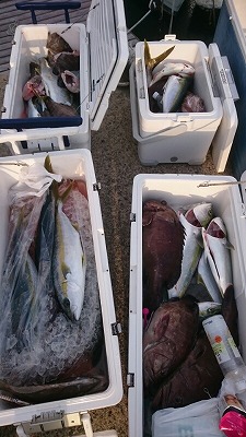 海龍丸(福岡) 釣果