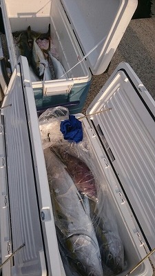 海龍丸(福岡) 釣果