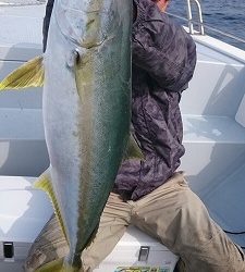 海龍丸(福岡) 釣果