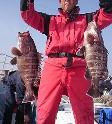 海龍丸(福岡) 釣果
