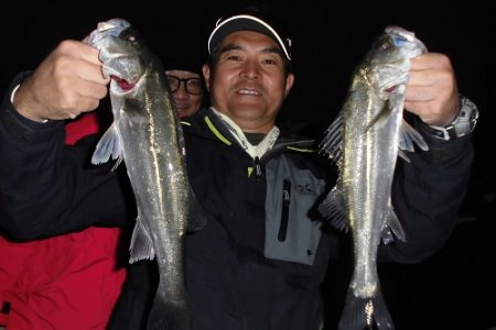 ルアー船マヒマヒ 釣果