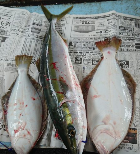 明神釣船 釣果