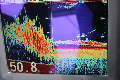 松本釣船2 釣果