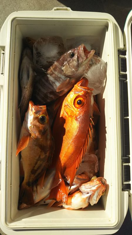 モンロー号 釣果