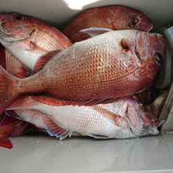 松本釣船2 釣果