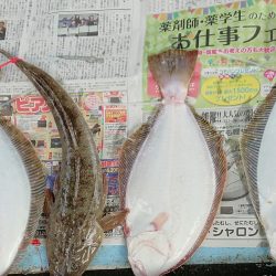 明神釣船 釣果