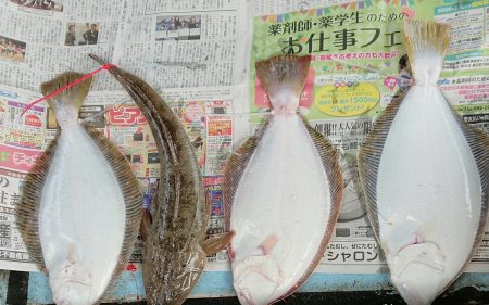 明神釣船 釣果