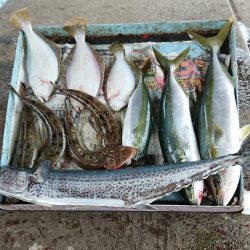 明神釣船 釣果